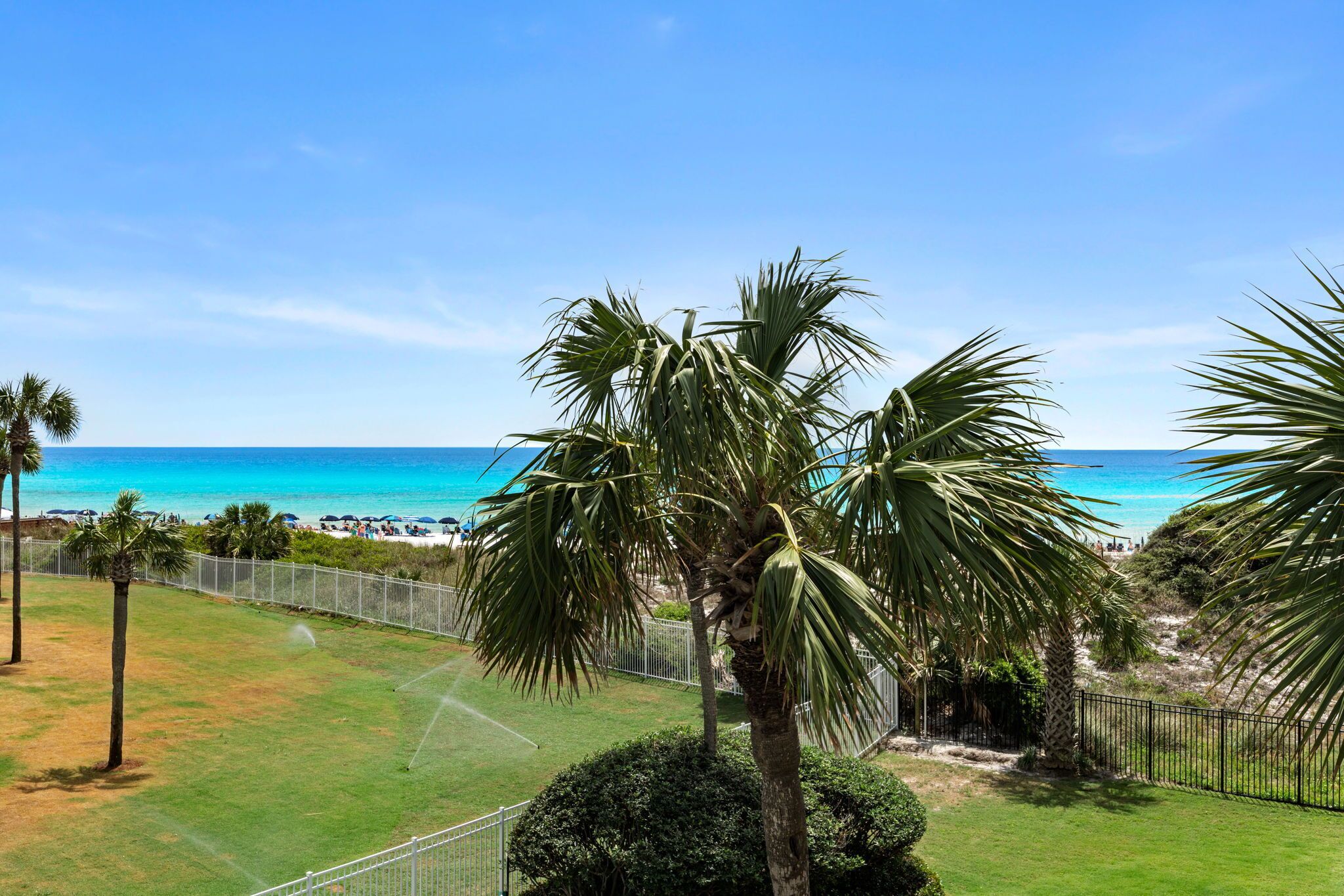 Vista de una playa con palmeras y un cielo azul despejado.