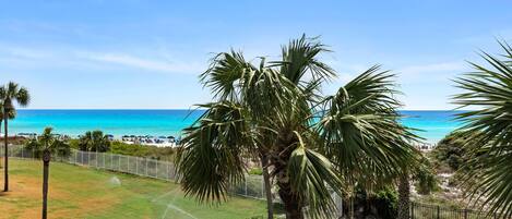 Vista de una playa con palmeras y un cielo azul despejado.