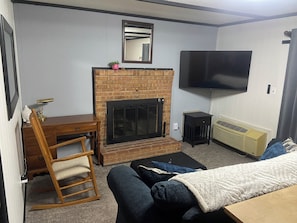 Smart TV, fireplace, books