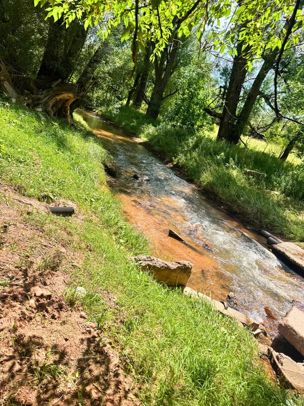 Un cours d’eau naturel qui traverse une zone boisée, avec des rochers et de l’herbe sur ses rives.