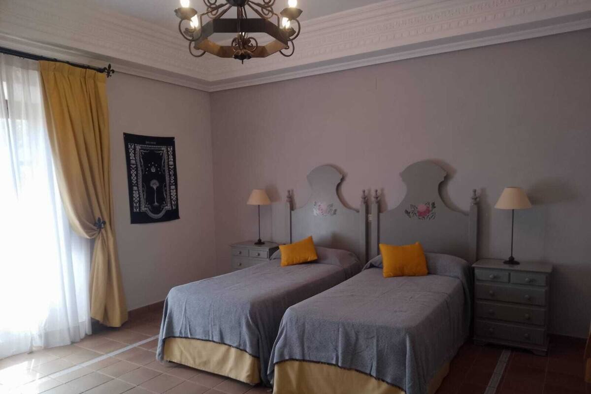 A bedroom with two beds, a chandelier, and a tapestry on the wall.