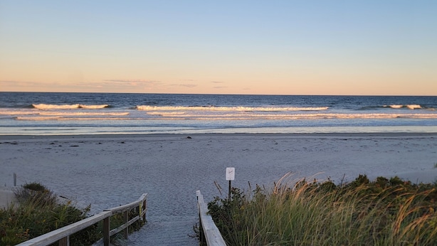A beach with a wooden walkway leading to the water, a sign indicating a no swimming area, and some vegetation in the foreground.