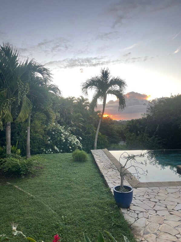 Ein Garten mit Pool, Palmen und Sonnenuntergang.