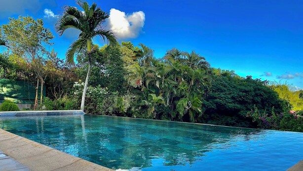 Une piscine d’un bleu éclatant, entourée d’une végétation luxuriante et d’arbres.
