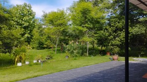 Un sentier qui traverse un jardin luxuriant, où l’on trouve une grande variété de plantes et d’arbres.