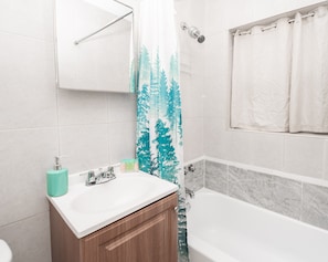 Hair dryer, towels, soap, toilet paper