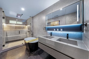Hair dryer, towels, soap, toilet paper
