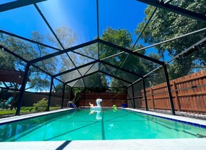 Pool - Sunny Clearwater Escape | 3BR + Pool + 3 Baths (Clearwater)