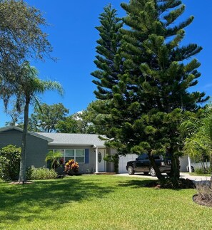 Una casa residencial con un césped cuidado, un gran árbol de coníferas y un coche aparcado en la entrada.