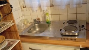 A kitchen with a stainless steel sink, a stove, and a dish rack.