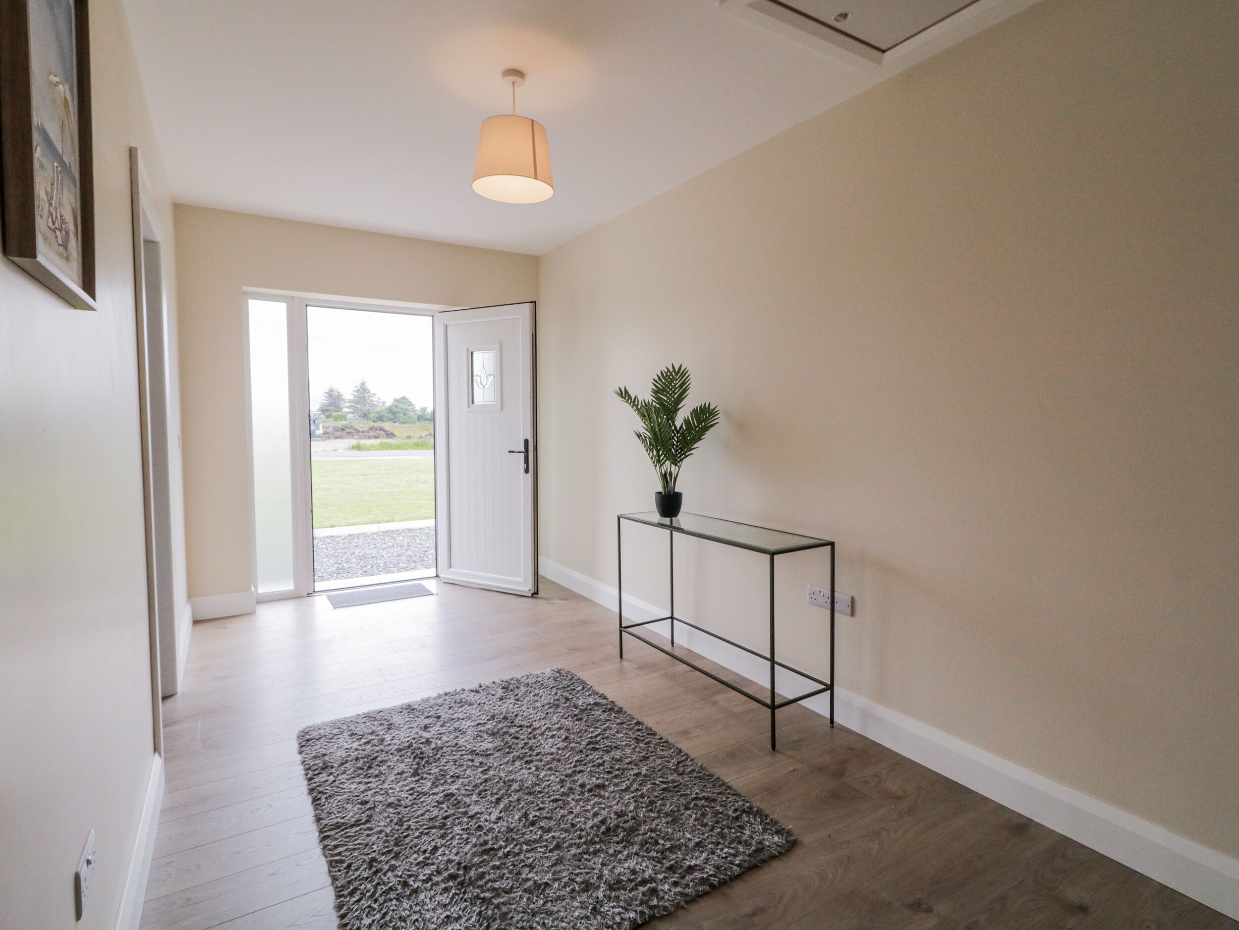 A hallway with a wooden floor, a grey rug, a potted plant on a black console table, and a door leading outside.