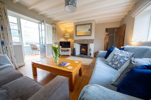 Smart TV, fireplace, books