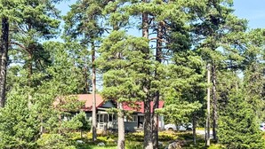 En hytte omgivet af høje grantræer, med rødt tag og en synlig veranda.