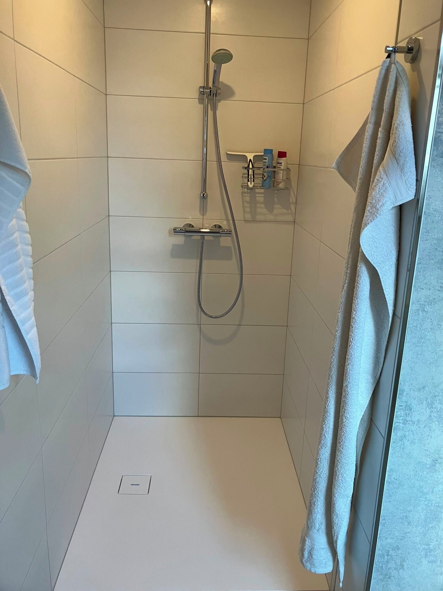 Eine Dusche mit Handbrause, einer Glastür und einem Handtuchhalter mit einem Handtuch.