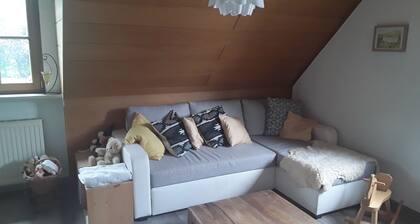 Gemütliche Dachgeschosswohnung am Lech und Naherholungsgebiet Kuhsee