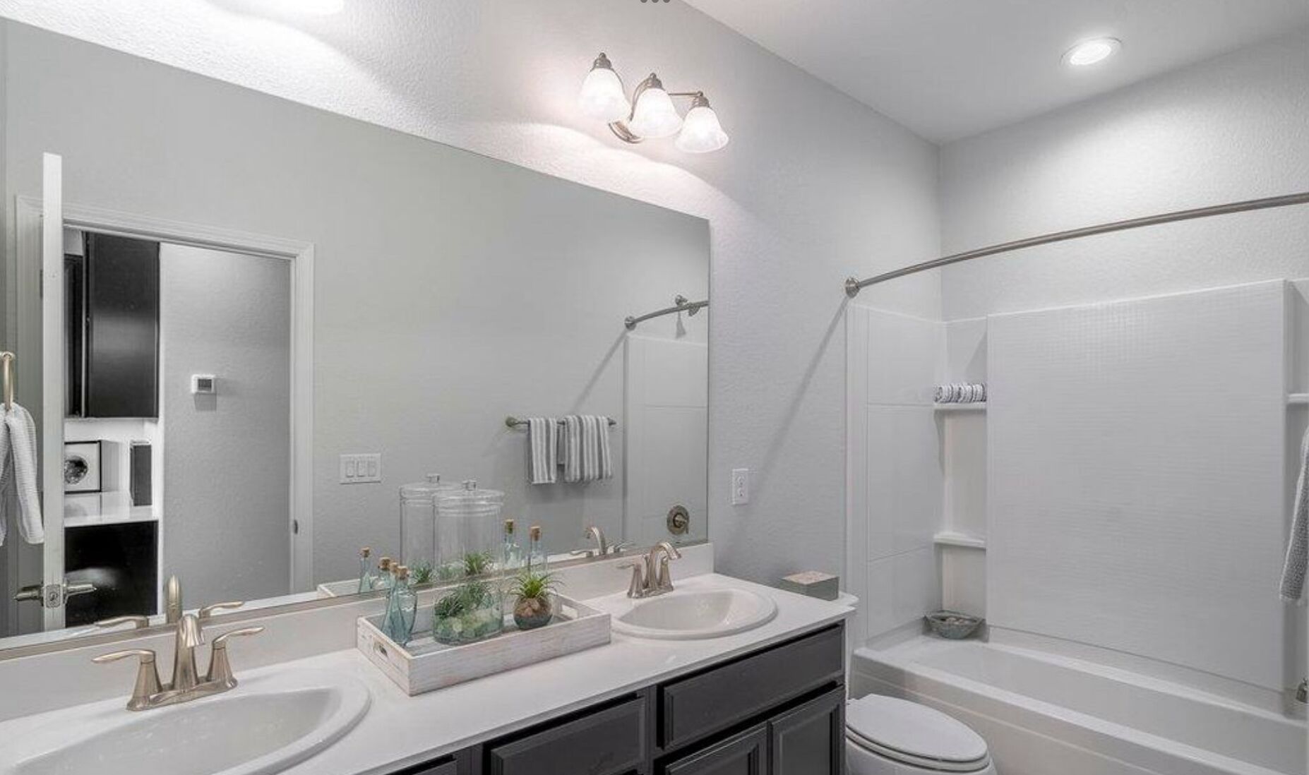 Shower, soap, toilet paper