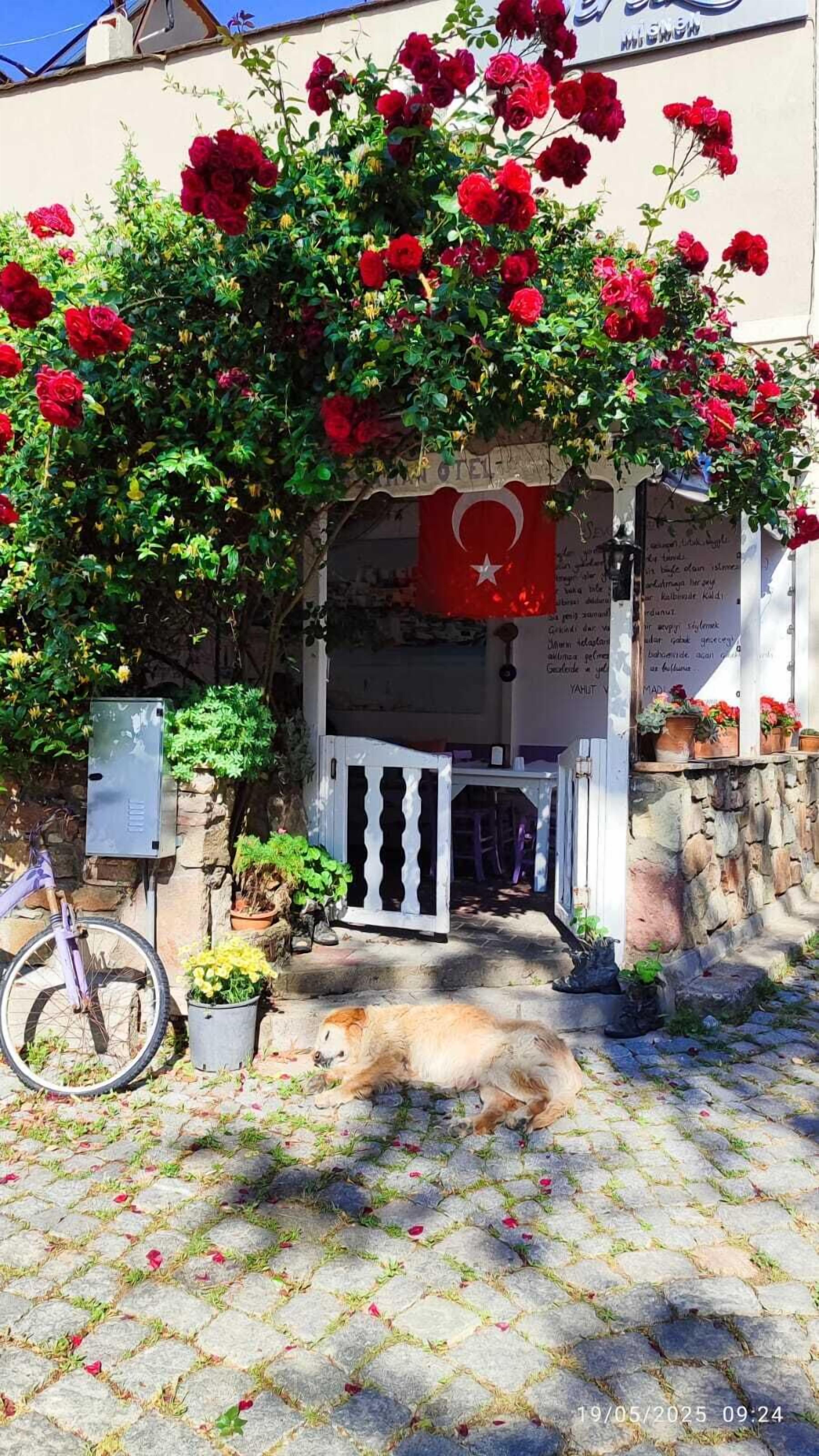 Daily buffet breakfast (TRY 500 per person)