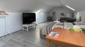 Une chambre de style loft moderne avec un plafond en pente, un téléviseur à écran plat, un lit avec une literie à motifs, une petite table avec une boîte de mouchoirs et une chaise en bois.