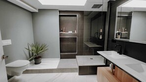 Shower, hair dryer, bidet, towels
