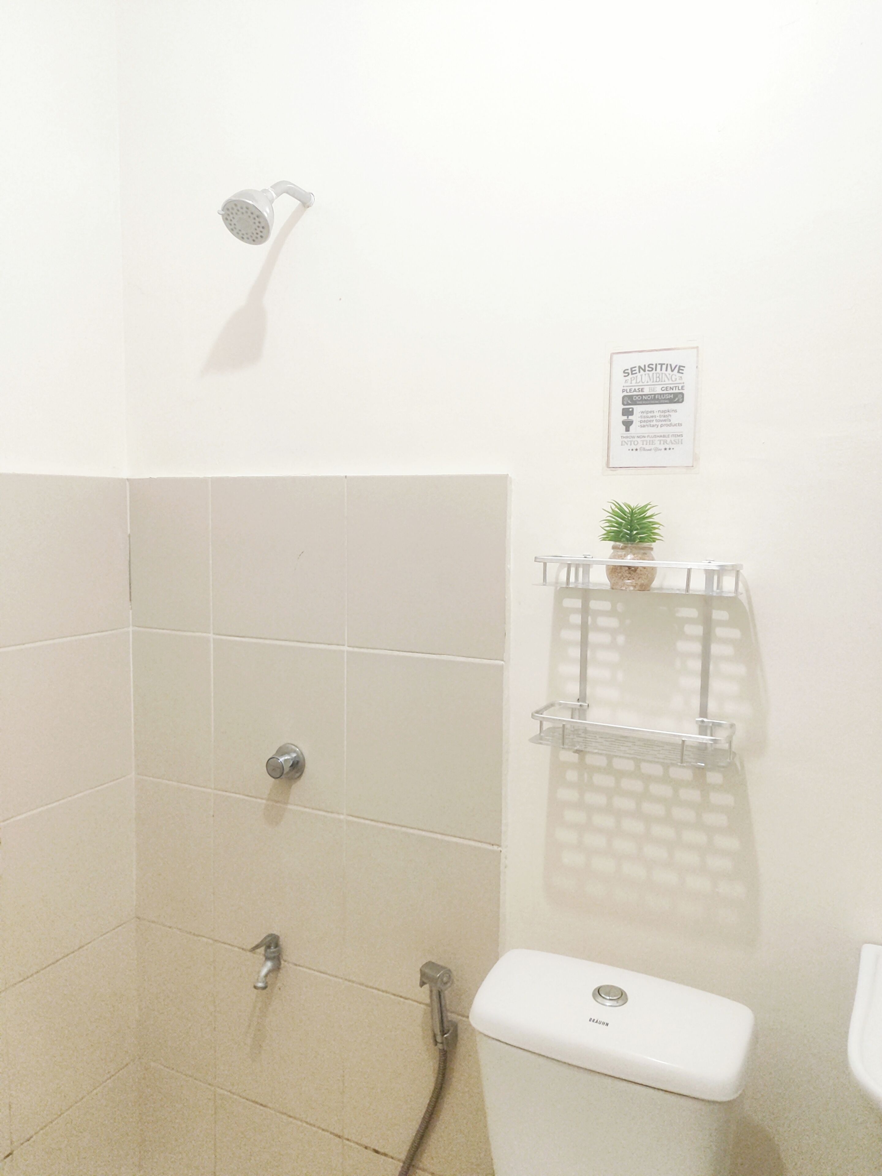 Un baño con ducha, inodoro y repisa con planta en maceta.
