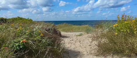 ハウス | ウォーター ビュー