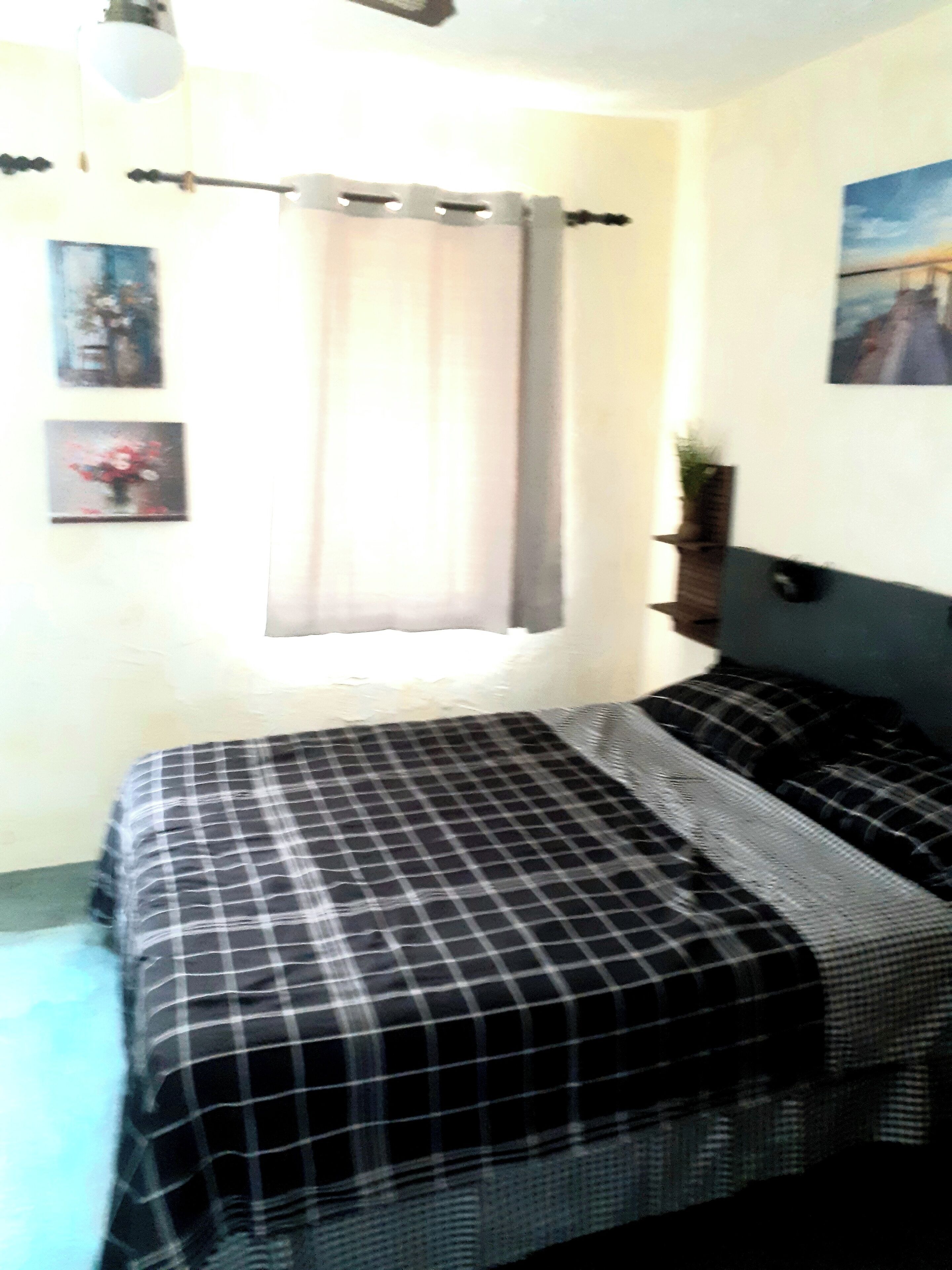 A bedroom with a bed, a window with curtains, and a wall-mounted shelf with a plant.