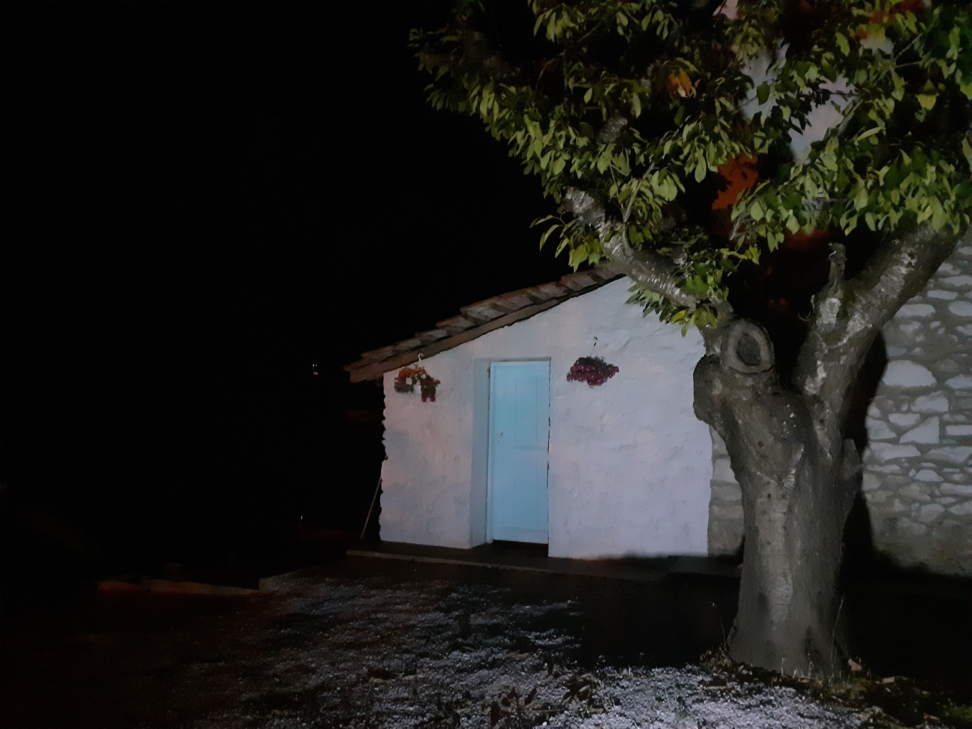 A small building with a blue door, surrounded by a tree and a stone wall.