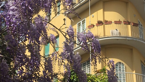 A yellow building with balconies and a curved facade. - BEAUTIFUL LOFT bright and comfortable, near the Roman Forum and Colosseum (Roma)