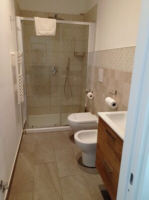 Een douche, een haardroger, een bidet, handdoeken