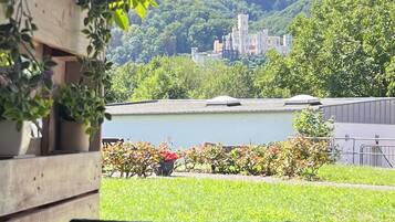 Ăreas de la propiedad