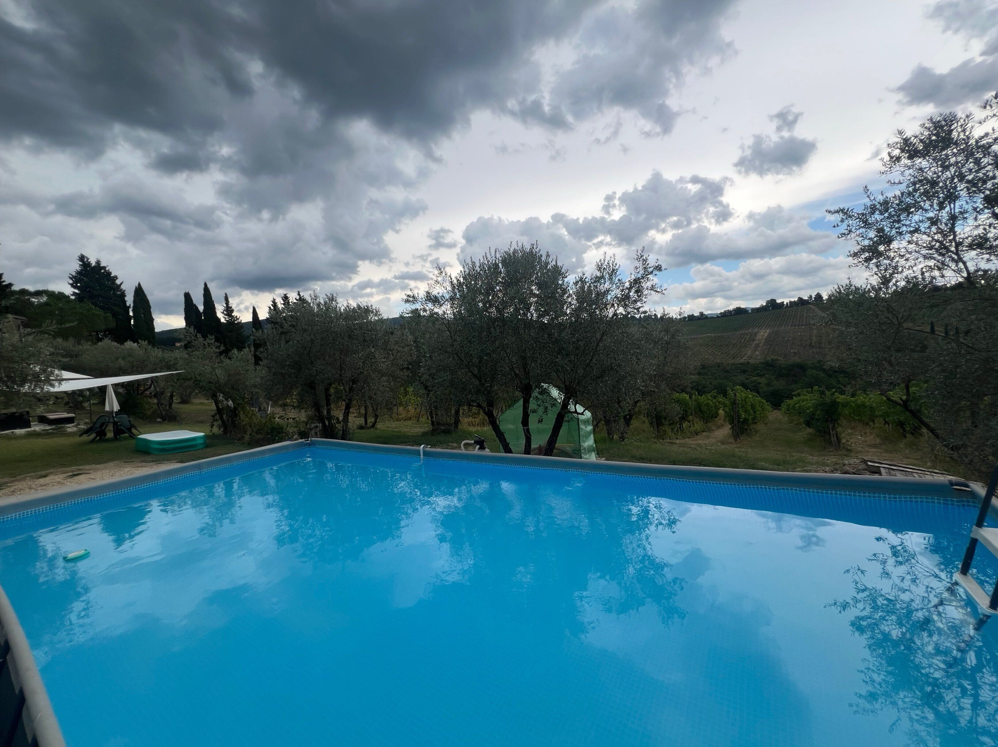 A swimming pool with a clear blue water surface, surrounded by trees and a grassy area.
