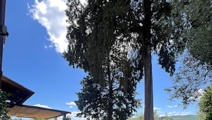 Un sendero de grava que lleva a un espacio de estar al aire libre cubierto, con vistas a un viñedo y colinas en la distancia.