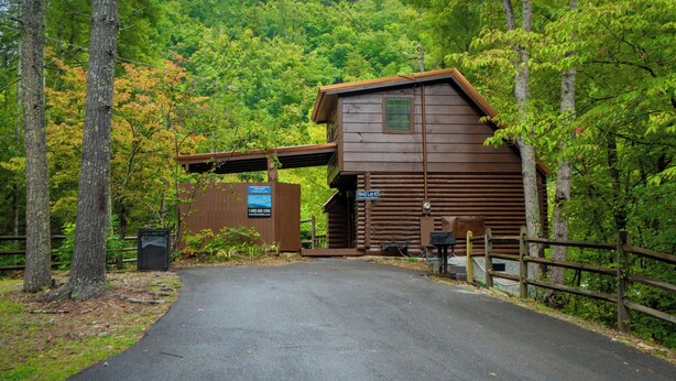 Un chalet rustique doté d’un porche abrité, entouré d’une forêt dense.