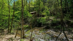 Un área boscosa con una pequeña estructura de madera, probablemente una cabaña o refugio, rodeada de árboles densos y un arroyo.