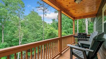 Cabin, Multiple Beds, Patio, Mountain View (Pines and Tines) | View from room