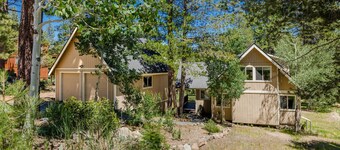 Alder Creek Paradise - Tree-lined Cabin Stay for 7