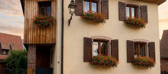 House on the Alsace wine route, at the foot of Haut Koenigsbourg!