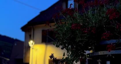 House on the Alsace wine route, at the foot of Haut Koenigsbourg!