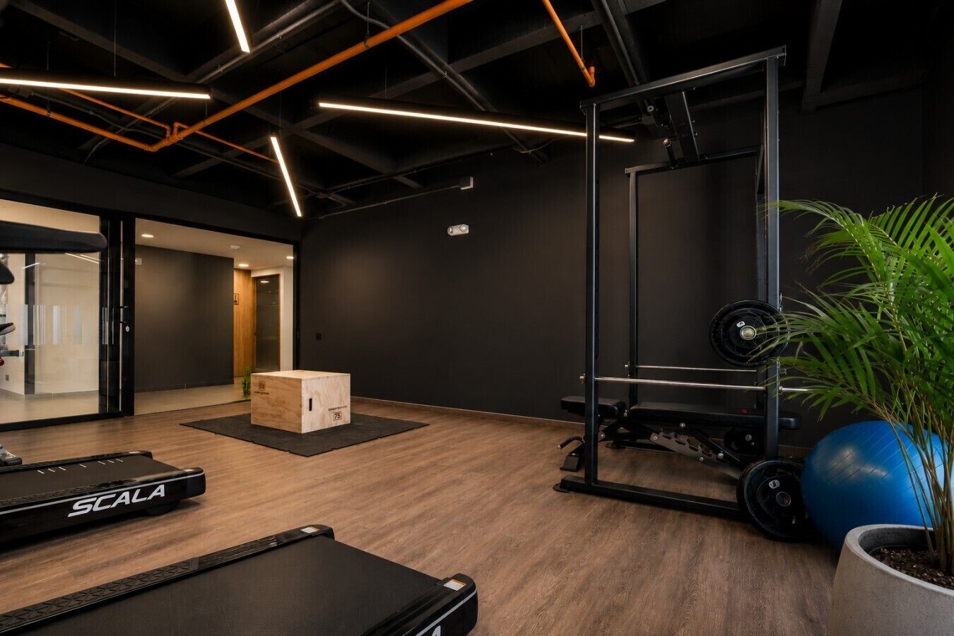 Une salle de sport équipée d’un espace pour la musculation, d’un tapis de course et d’une plante en pot.