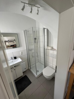 Secador de pelo, toallas y papel higiénico