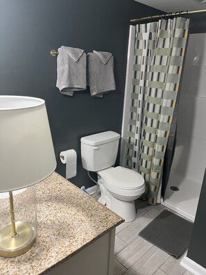 Shower, hair dryer, towels, toilet paper