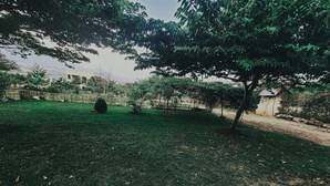 A grassy outdoor area with trees and a dirt path. - PUMZIKA HILL CAMPSITE (Kisongo)