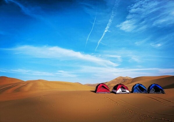 Three tents in a desert landscape with sand dunes and a clear sky. - Royal Humsafar Hostel Jaisalmer (Jaisalmer)
