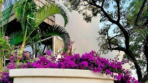 A sign with the text "Maui Banyan 2575" surrounded by lush greenery and purple flowers.