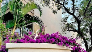 Un letrero con el texto 'Maui Banyan 2575' rodeado de exuberante follaje y flores moradas.