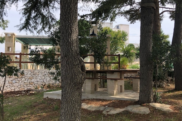 Àrea exterior de l'allotjament