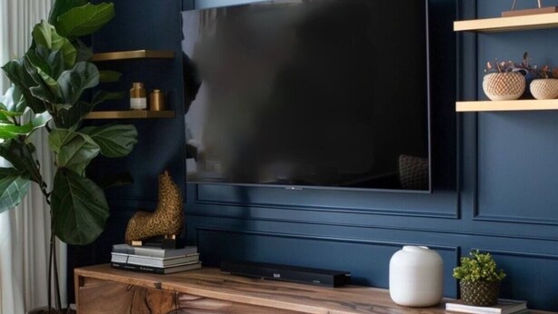TV