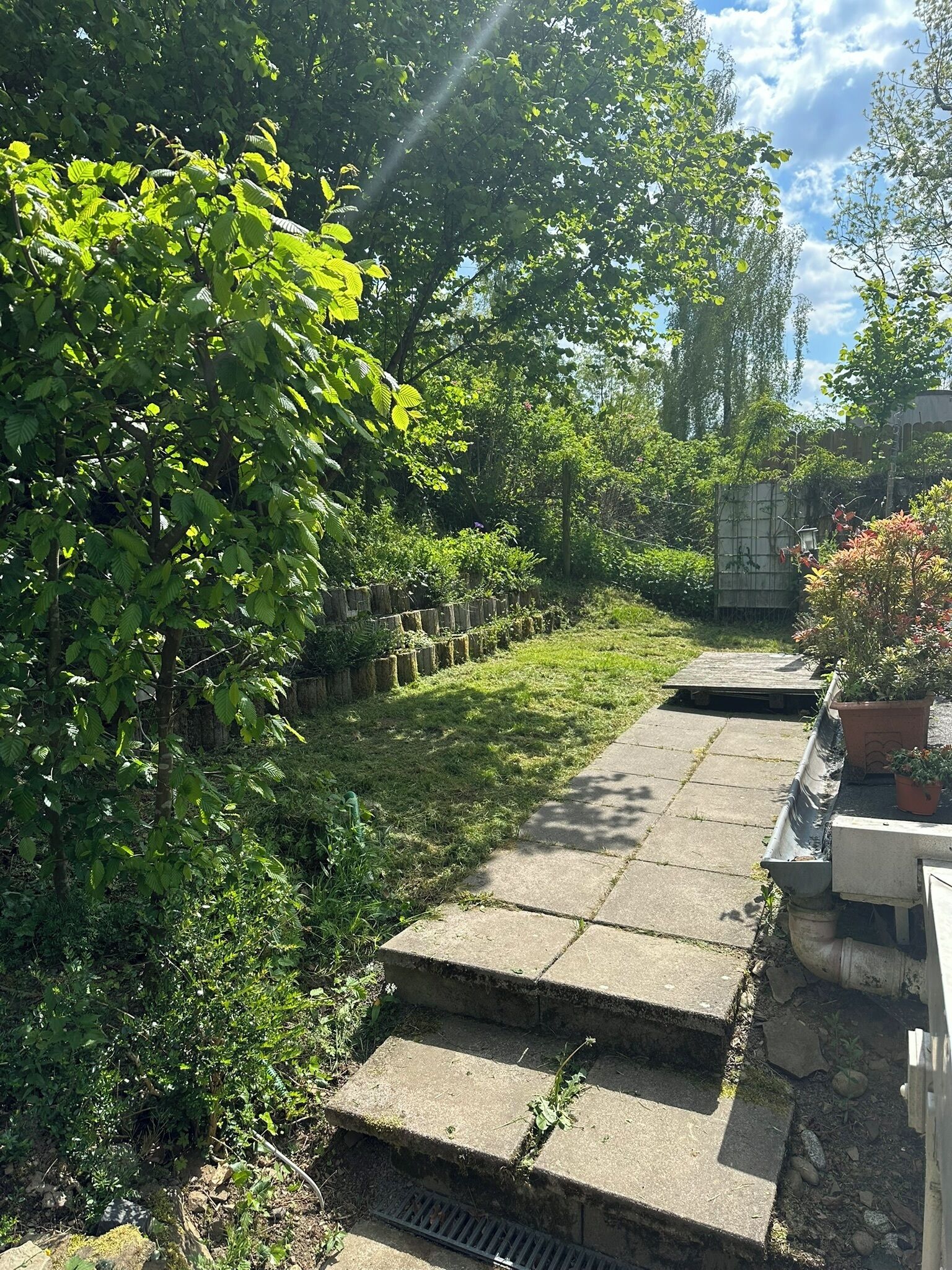 Ein Kiesweg schlängelt sich durch einen Garten mit üppiger Vegetation und einem Holzzaun.