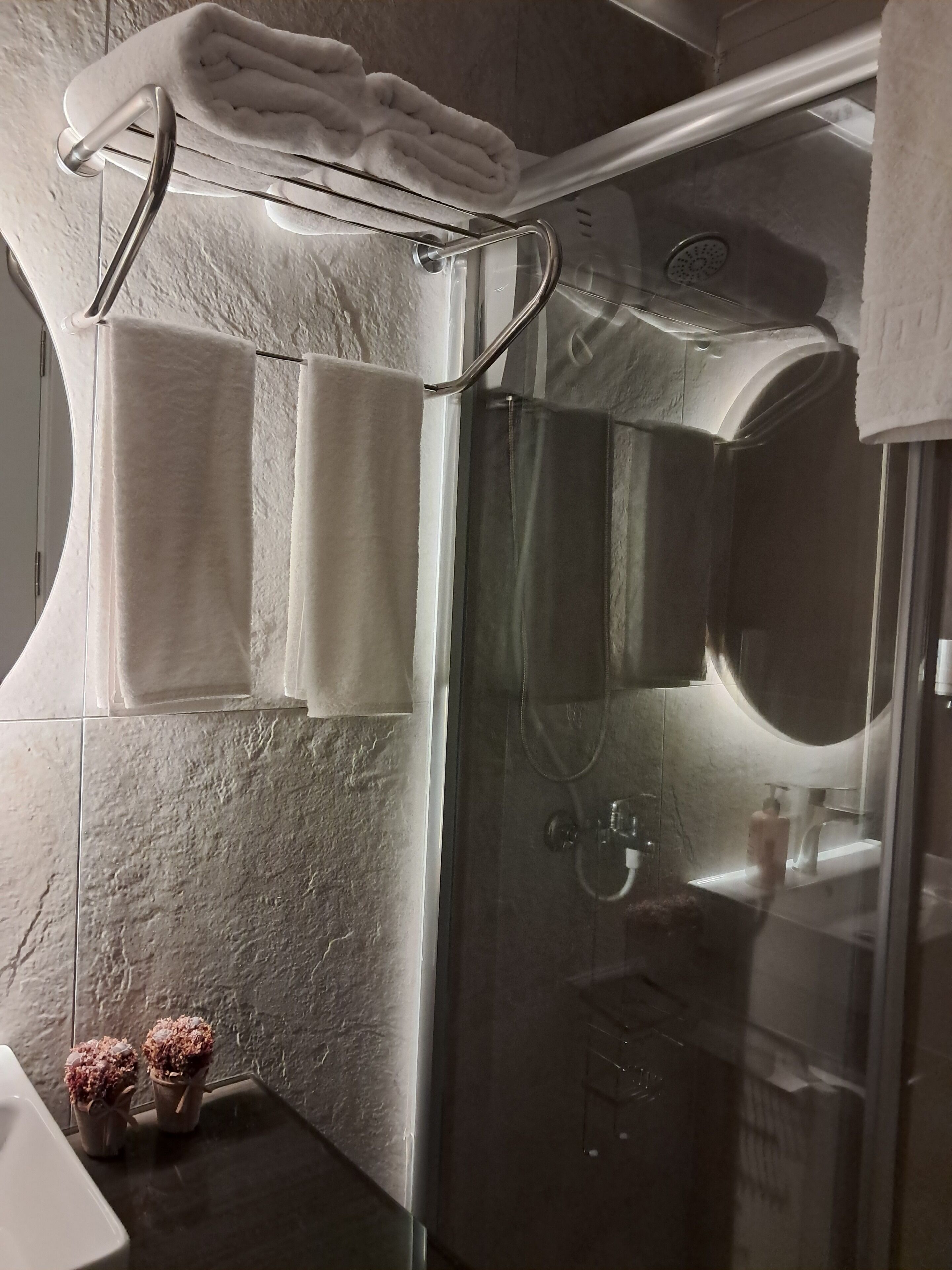 A modern bathroom with a glass shower enclosure, a glass-enclosed sink, and two potted plants on the counter.