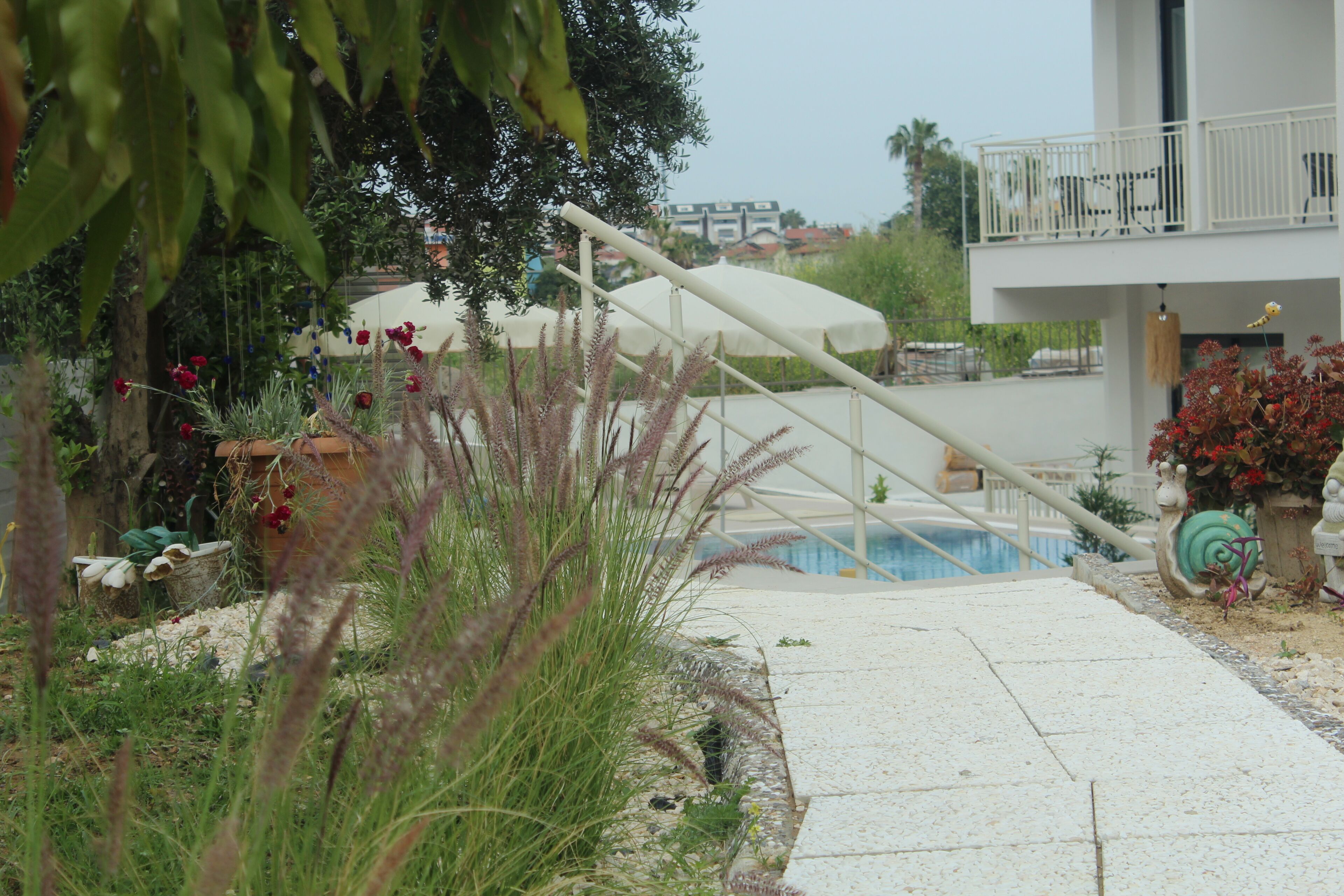 A pool area with a white deck, surrounded by various plants and flowers.